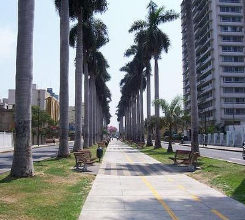 Ventanas antiruido para viviendas en avenidas Benavides o Arequipa guía completa