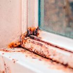 ¿Las ventanas antiruido son resistentes a la corrosión