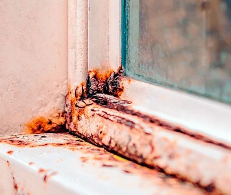 ¿Las ventanas antiruido son resistentes a la corrosión