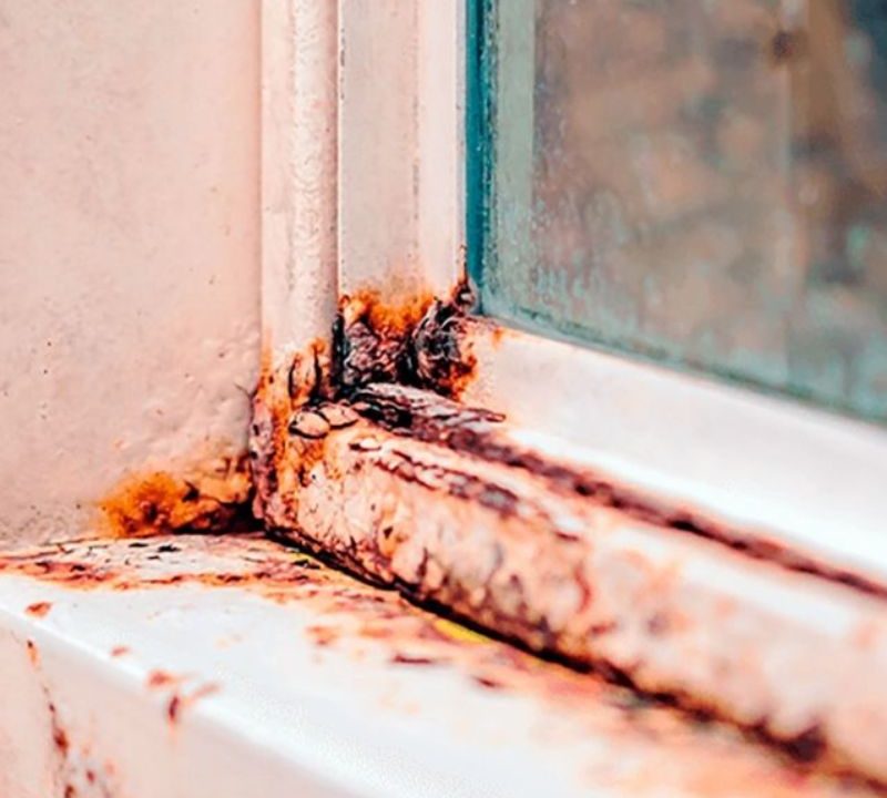 ¿Las ventanas antiruido son resistentes a la corrosión